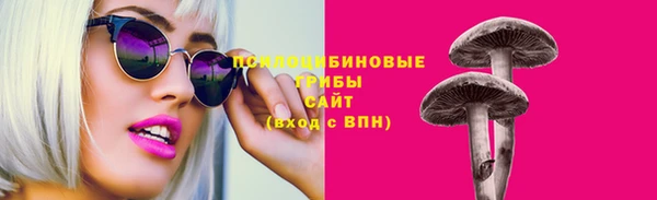 винт Медвежьегорск