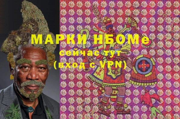 хмурый Елизово