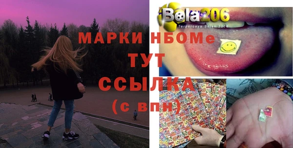 хмурый Елизово