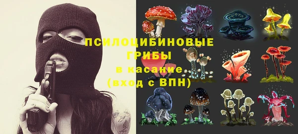 хмурый Елизово
