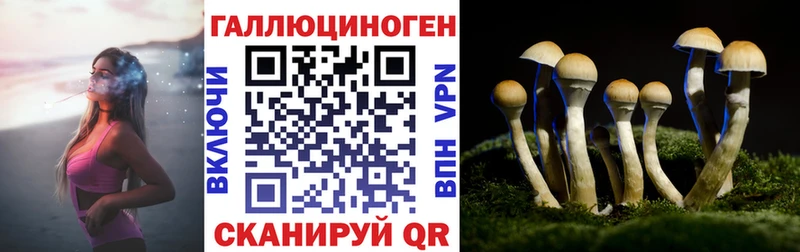 купить наркотик  Звенигород  Псилоцибиновые грибы GOLDEN TEACHER 