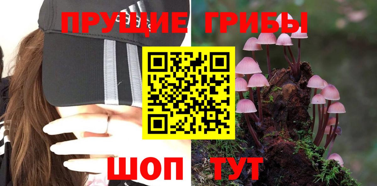 Галлюциногенные грибы Cubensis  Звенигород 