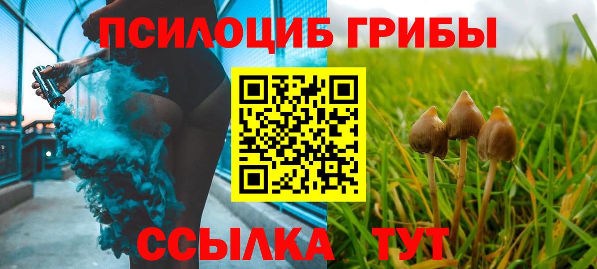 Галлюциногенные грибы мухоморы Звенигород