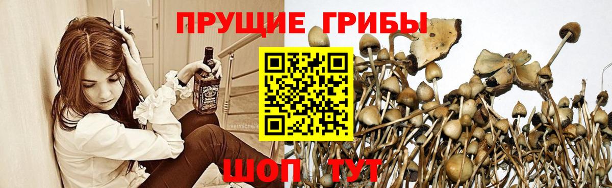 Амфетамин Звенигород