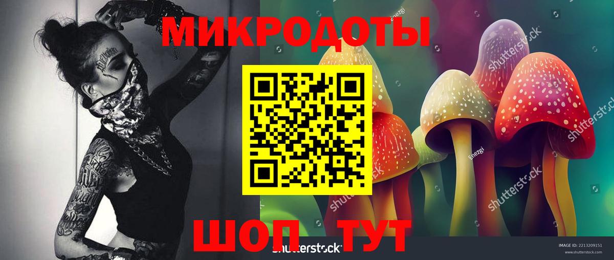 Звенигород  Галлюциногенные грибы MAGIC MUSHROOMS  Вход с VPN 