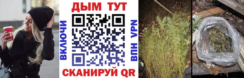 как найти   Звенигород  Бошки марихуана VHQ 
